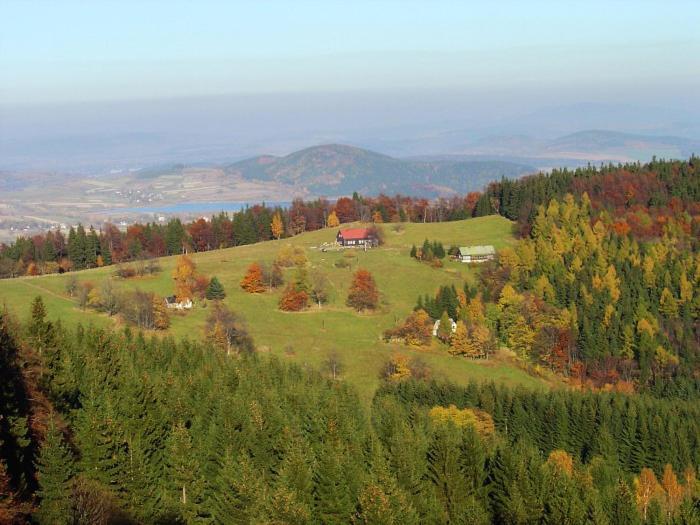 Pension & Restaurace Zeleny Mlyn Žacléř Esterno foto